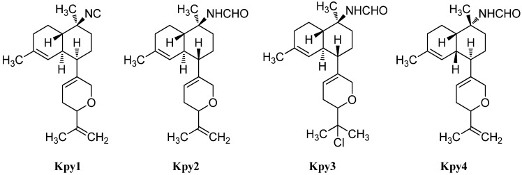 Figure 21