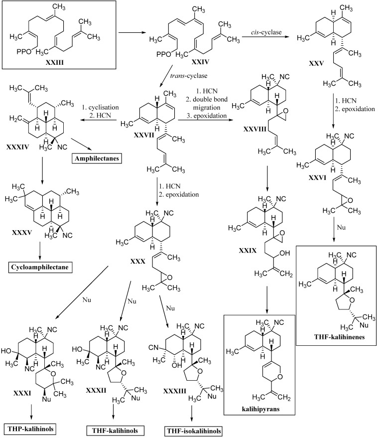 Figure 39