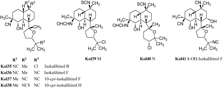 Figure 19