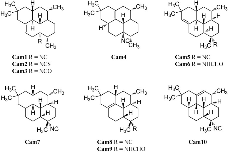 Figure 25