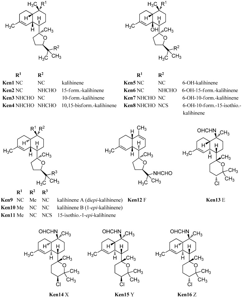 Figure 20