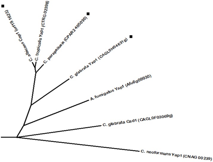 Figure 5