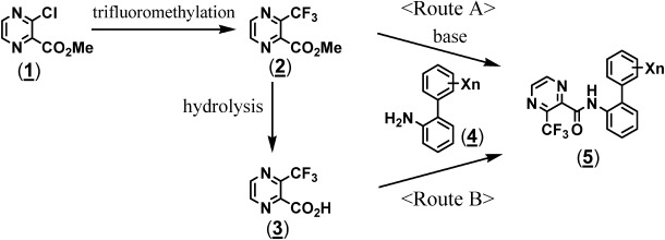 Fig. 2. Synthetic pathways of 3-(trifluoromethyl)pyrazine-2-carboxamides.