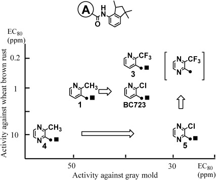 Fig. 3. Fungicidal activities of N-(1,1,3-trimethylindan-4-yl)pyridine and pyrazinecarboxamides.13)