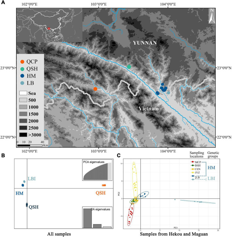 FIGURE 2