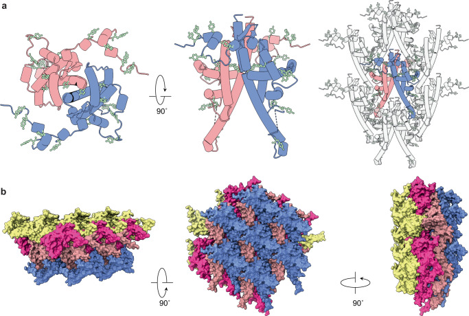 Fig. 4