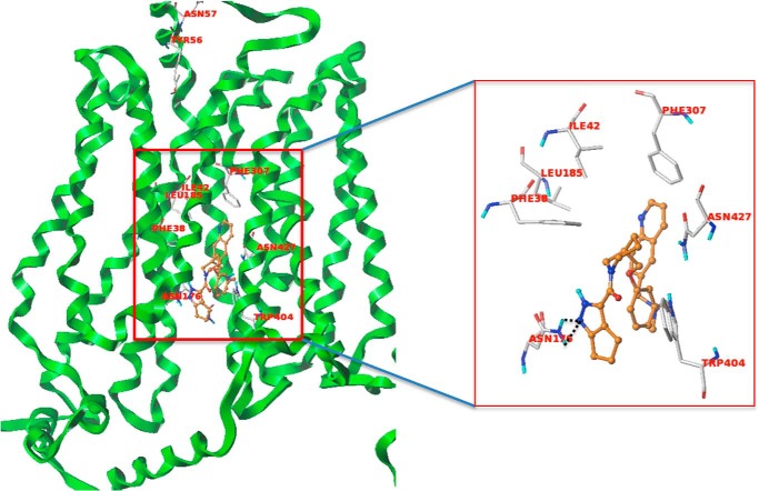 FIGURE 11.