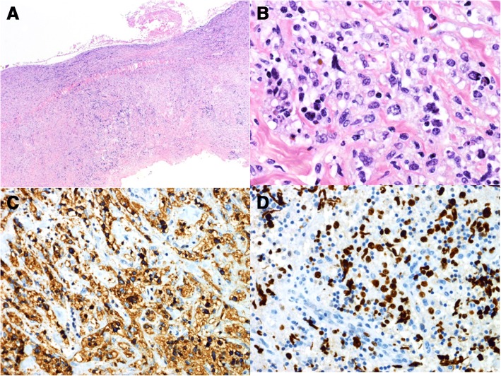 Fig. 3