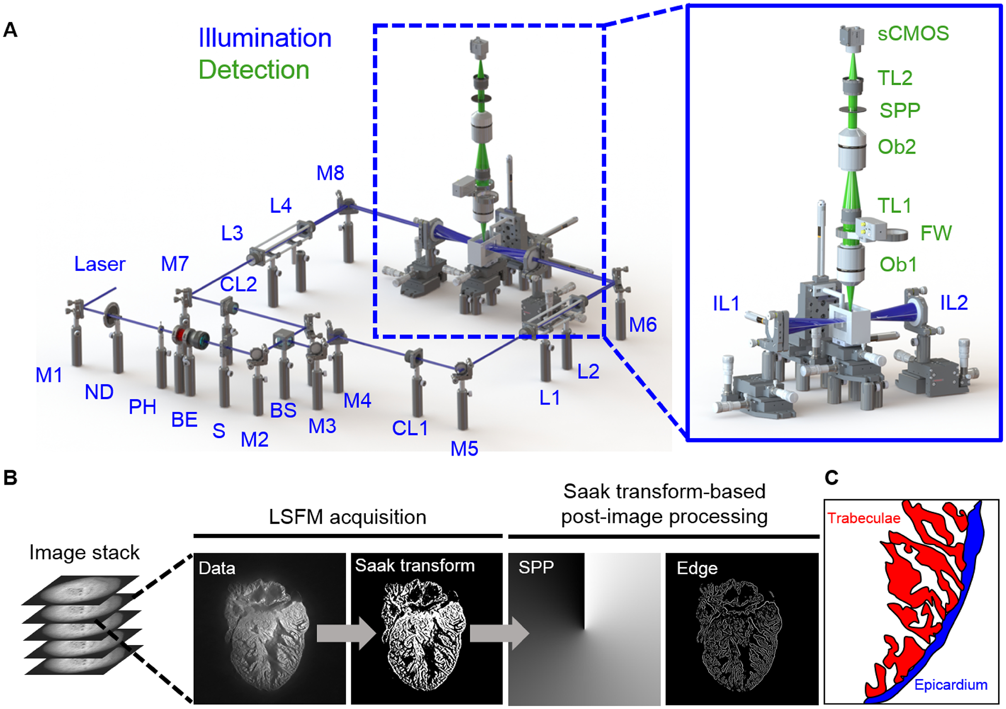 Fig 2.