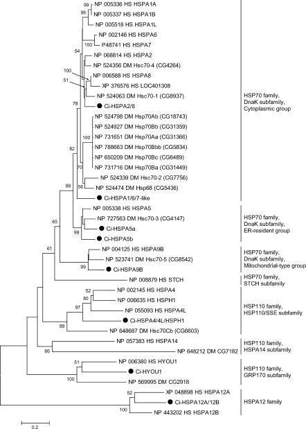 Fig 1.