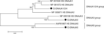 Fig 2.