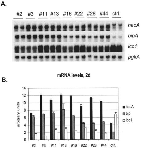 FIG. 3.