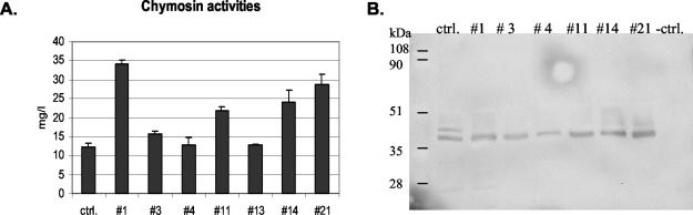 FIG. 2.