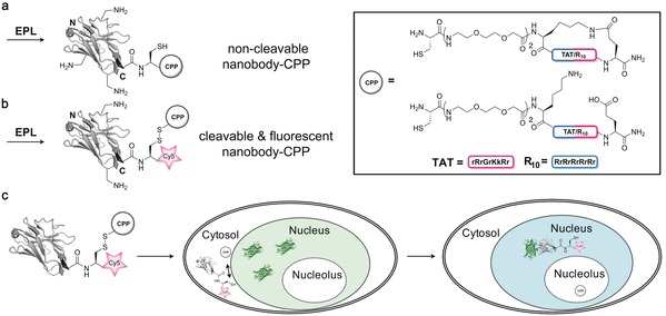 Figure 15