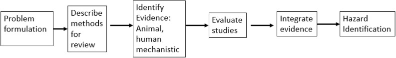 Figure 1 is a flow diagram, having five stages. Stage 1: Problem formulation leads to Describe methods for review. Stage 2: Describe methods for review leads to Identify evidence: Animal human mechanistic. Stage 3: Identify evidence: Animal human mechanistic leads to Evaluate studies. Stage 4: Evaluate studies leads to Integrate evidence. Stage 5: Integrate evidence leads to Hazard Identification.