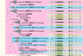 Extended Data Fig. 8