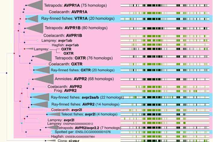 Extended Data Fig. 8