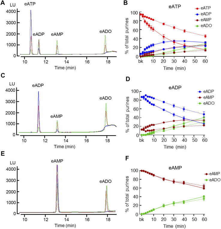 FIGURE 3