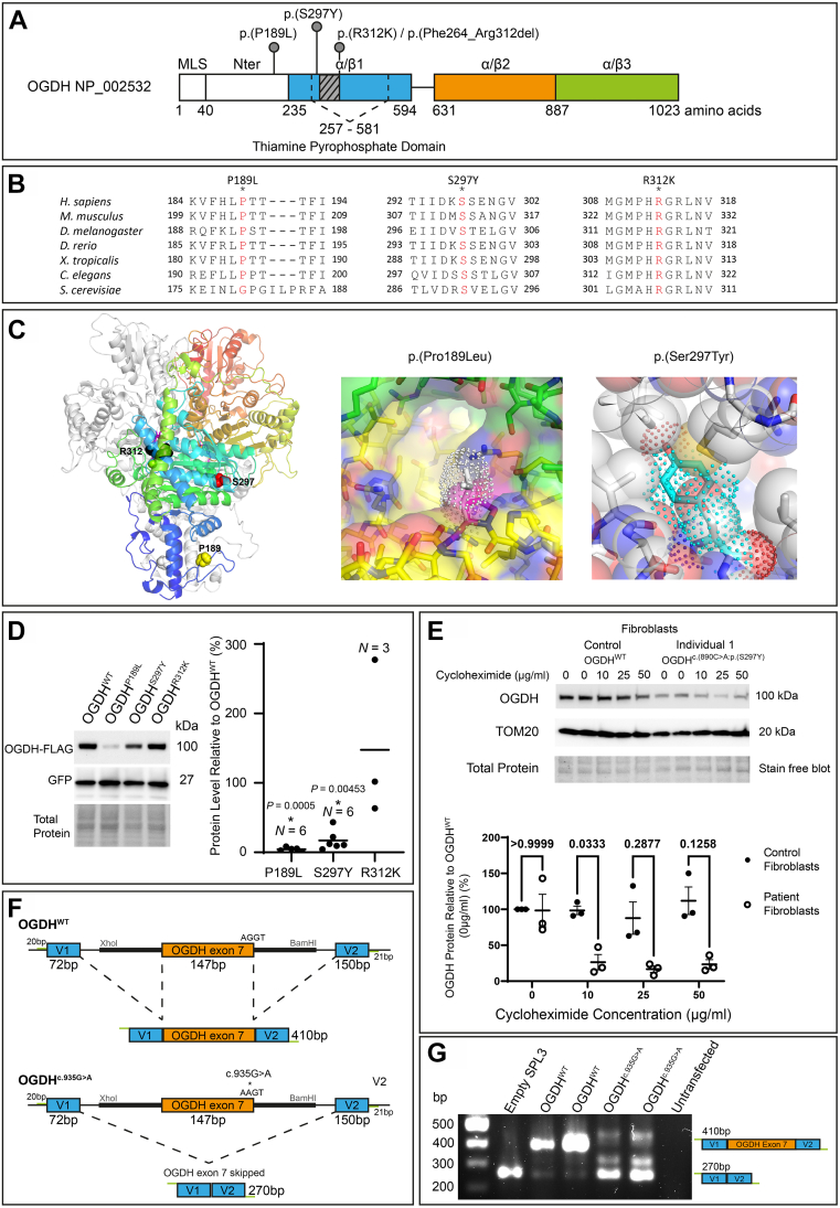 Figure 2