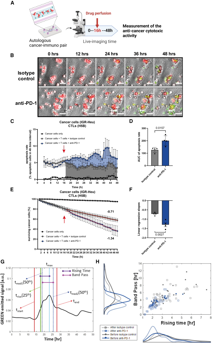 Figure 2