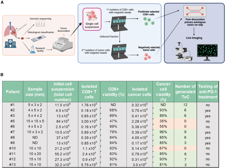 Figure 6