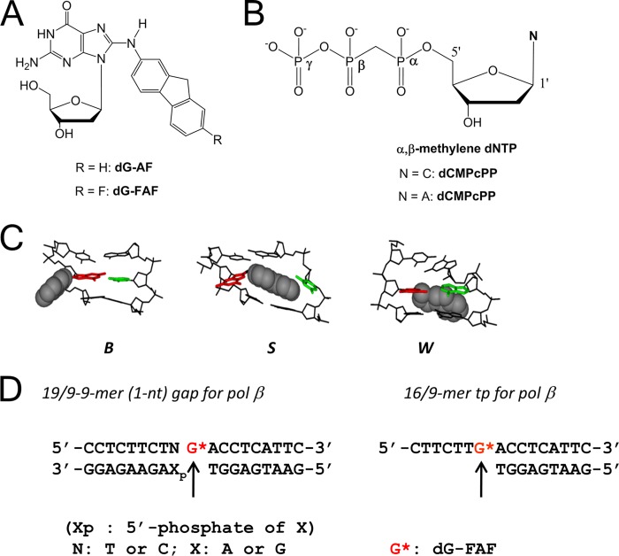 FIGURE 1.