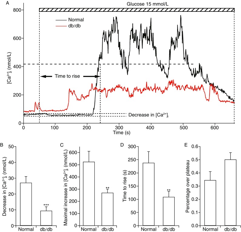 Figure 6