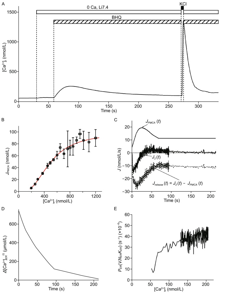 Figure 4