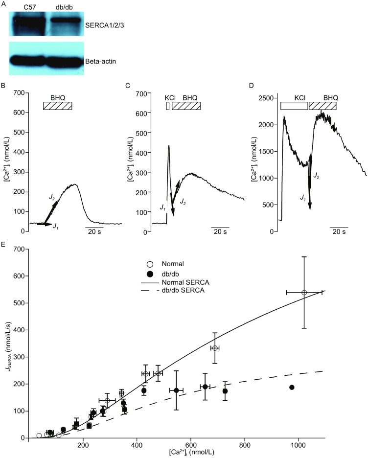 Figure 2