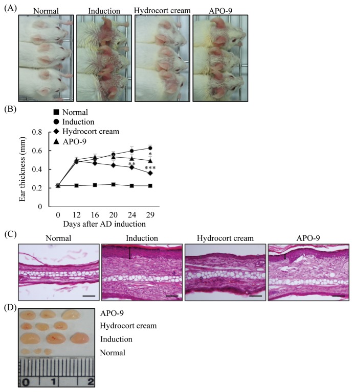 Fig. 4