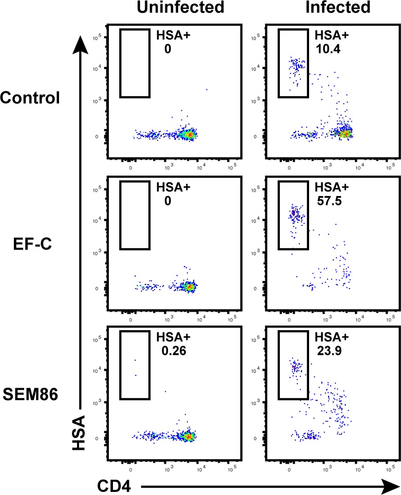 Figure 1—figure supplement 1.