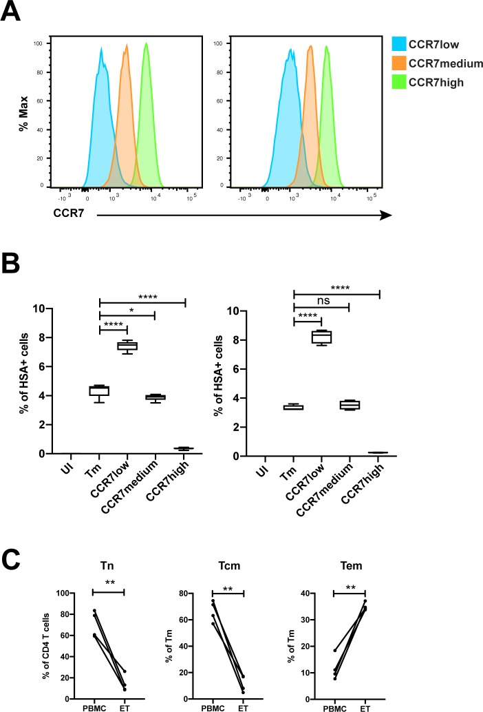 Figure 2—figure supplement 5.