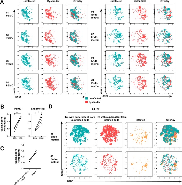 Figure 2—figure supplement 4.