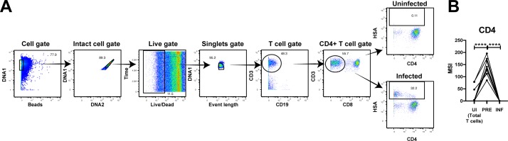 Figure 5—figure supplement 1.