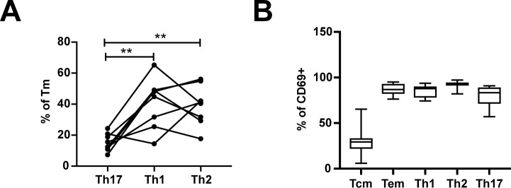 Figure 4—figure supplement 2.