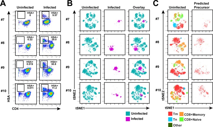 Figure 4—figure supplement 1.