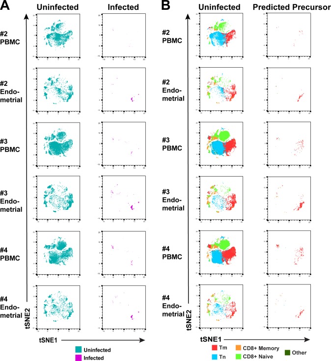 Figure 2—figure supplement 2.