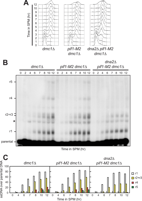 FIGURE 5.