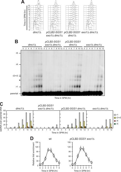 FIGURE 4.