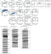 Extended Data Fig. 10 ∣