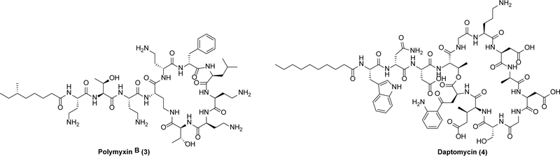 Scheme 2.