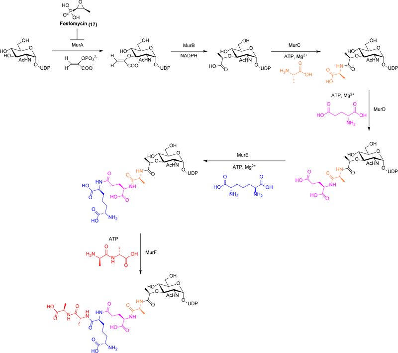 Scheme 5.