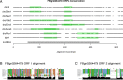 Figure 7—figure supplement 1.