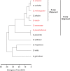 Figure 5—figure supplement 3.