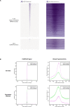 Figure 6—figure supplement 1.