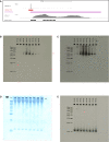 Figure 7—figure supplement 3.