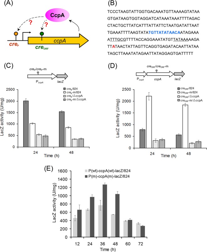 FIG 4