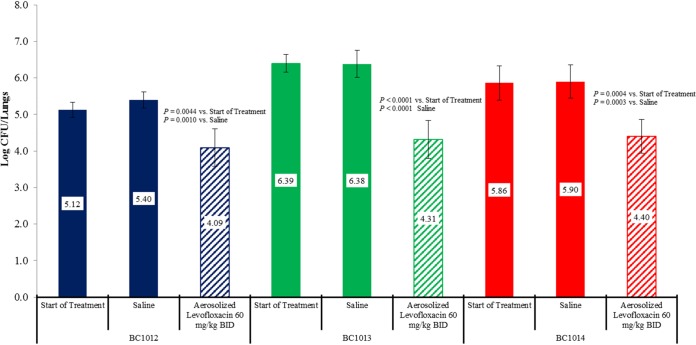 FIG 1