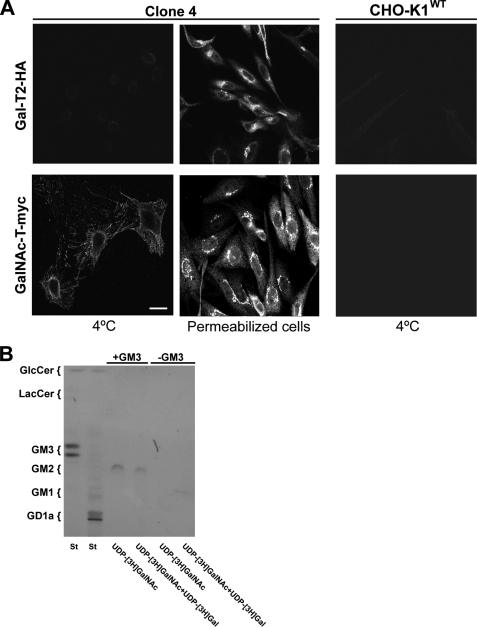 FIGURE 9.