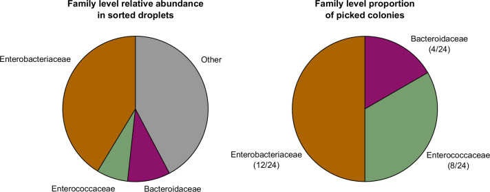 Figure 5—figure supplement 2.